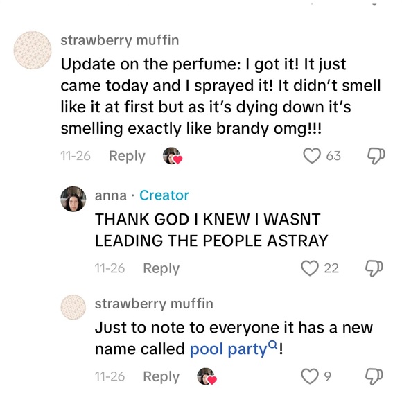 Nani pool party set alleged brandy Melville scent per tiktok - Picture 8 of 8